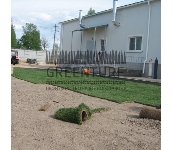 Озеленение крупного кролиководческого комплекса - фото - 5