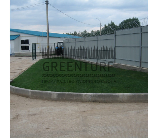 Озеленение крупного кролиководческого комплекса - фото - 18